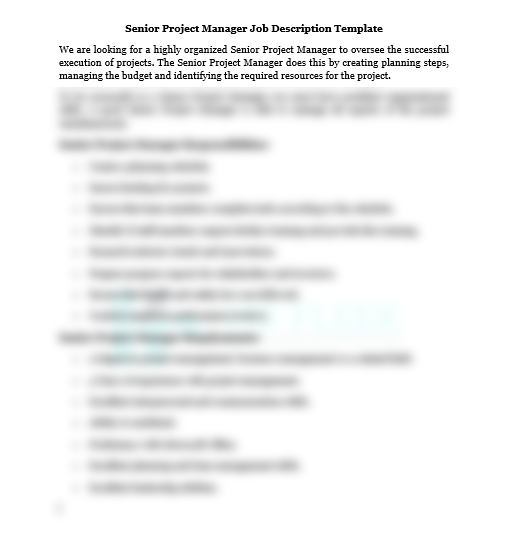Senior Project Manager Job Description
